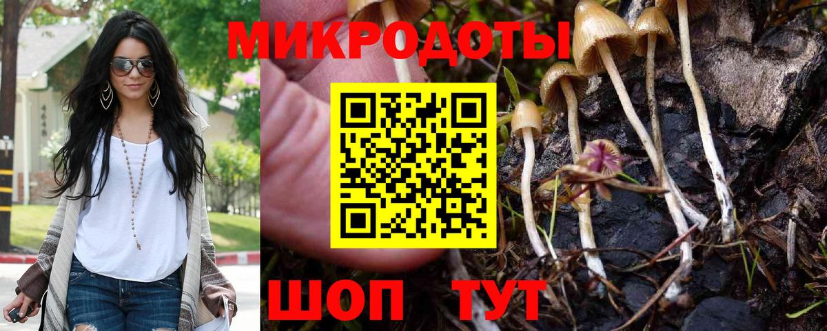 Галлюциногенные грибы Magic Shrooms Жигулёвск