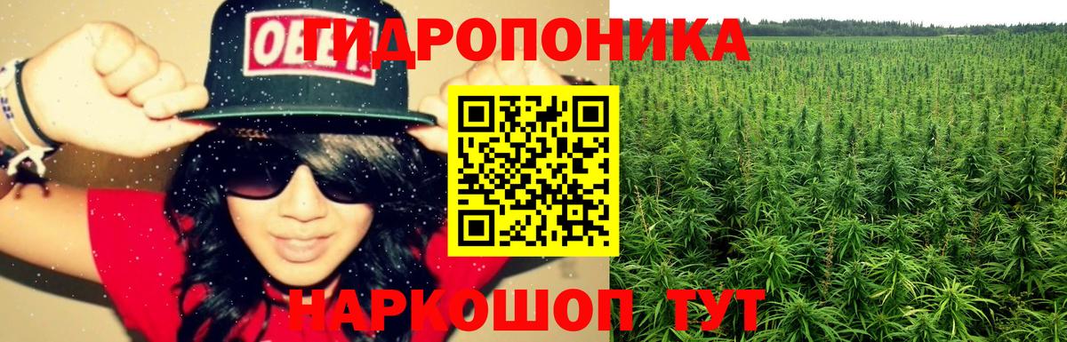 Бошки Шишки MAZAR Жигулёвск